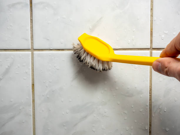 Best Affordable Mold Removal  in Derwood, MD