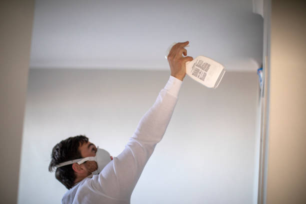 Best Best Mold Removal Companies  in Derwood, MD
