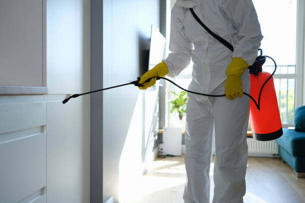 Best Local Mold Removal Service  in Derwood, MD