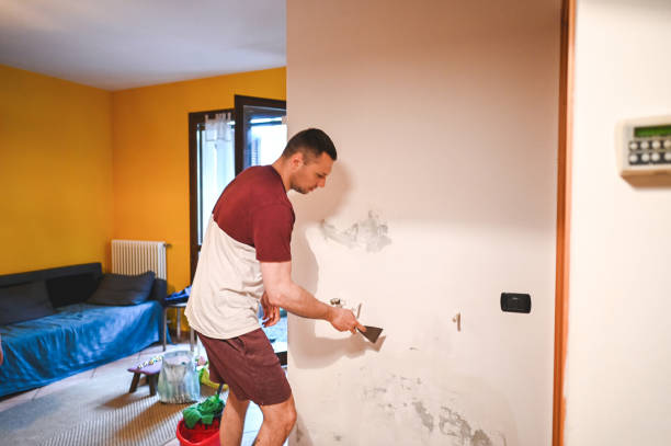 Best Attic Mold Removal  in Derwood, MD